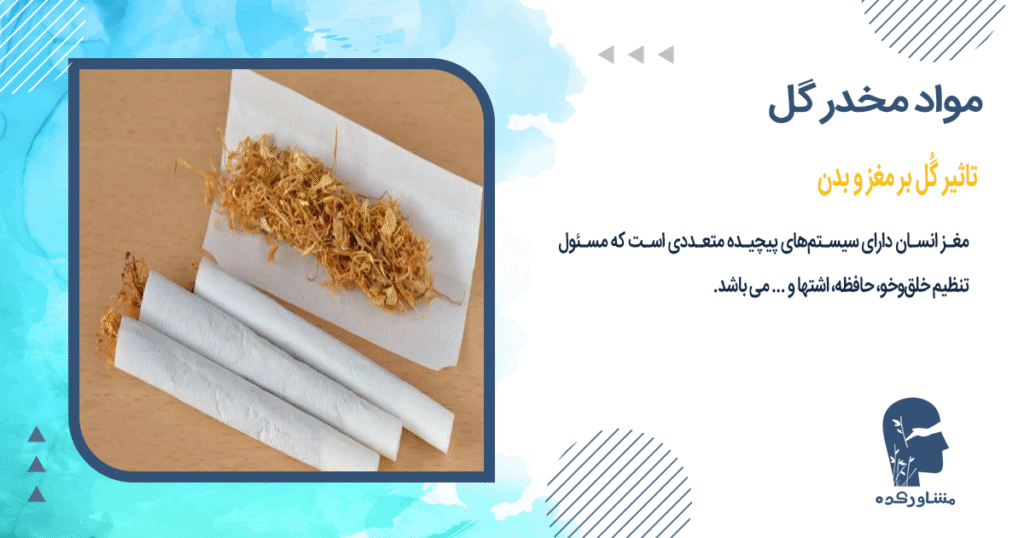 تاثیر گُل بر مغز و بدن